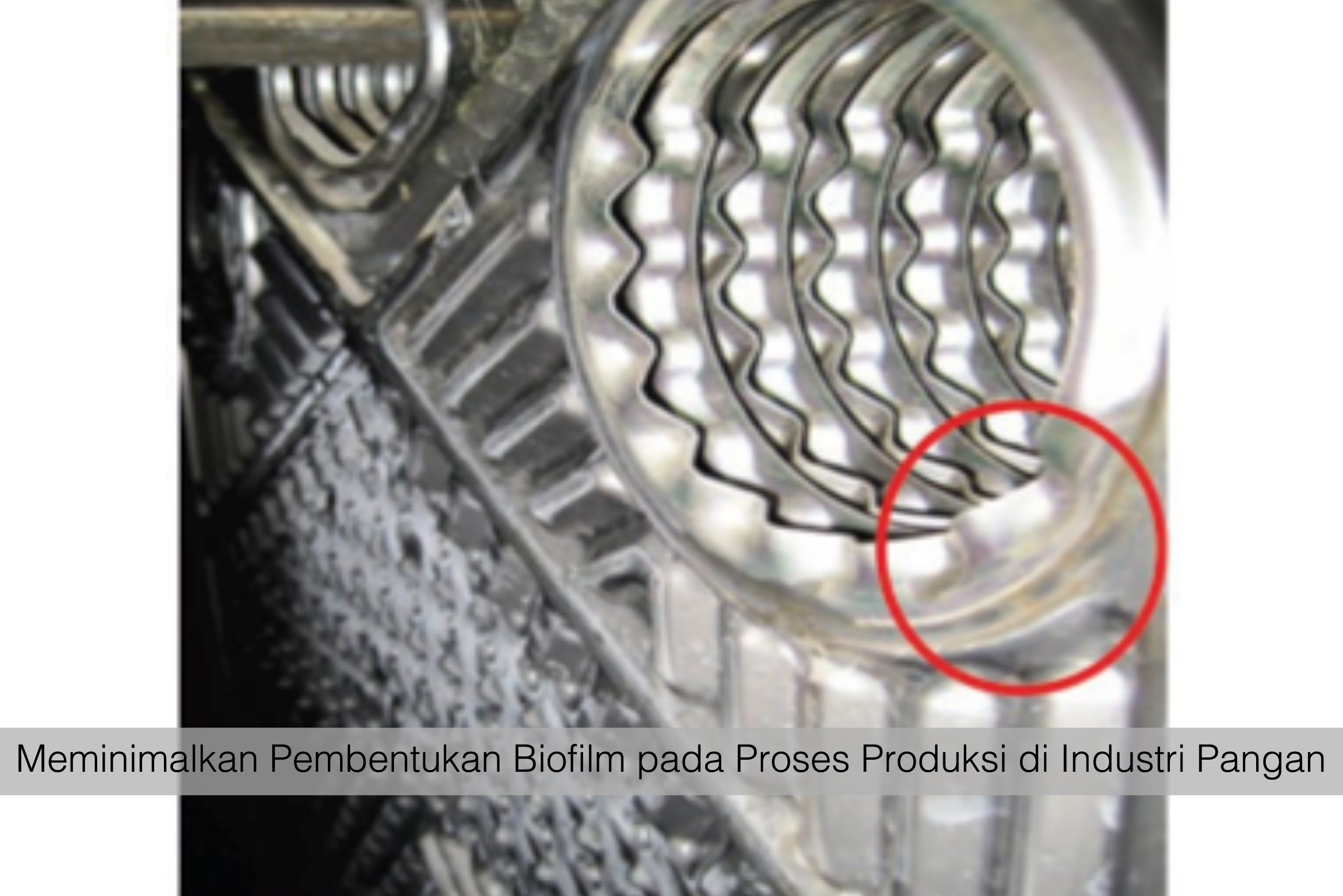 Meminimalkan Pembentukan Biofilm pada Proses Produksi
di Industri Pangan
