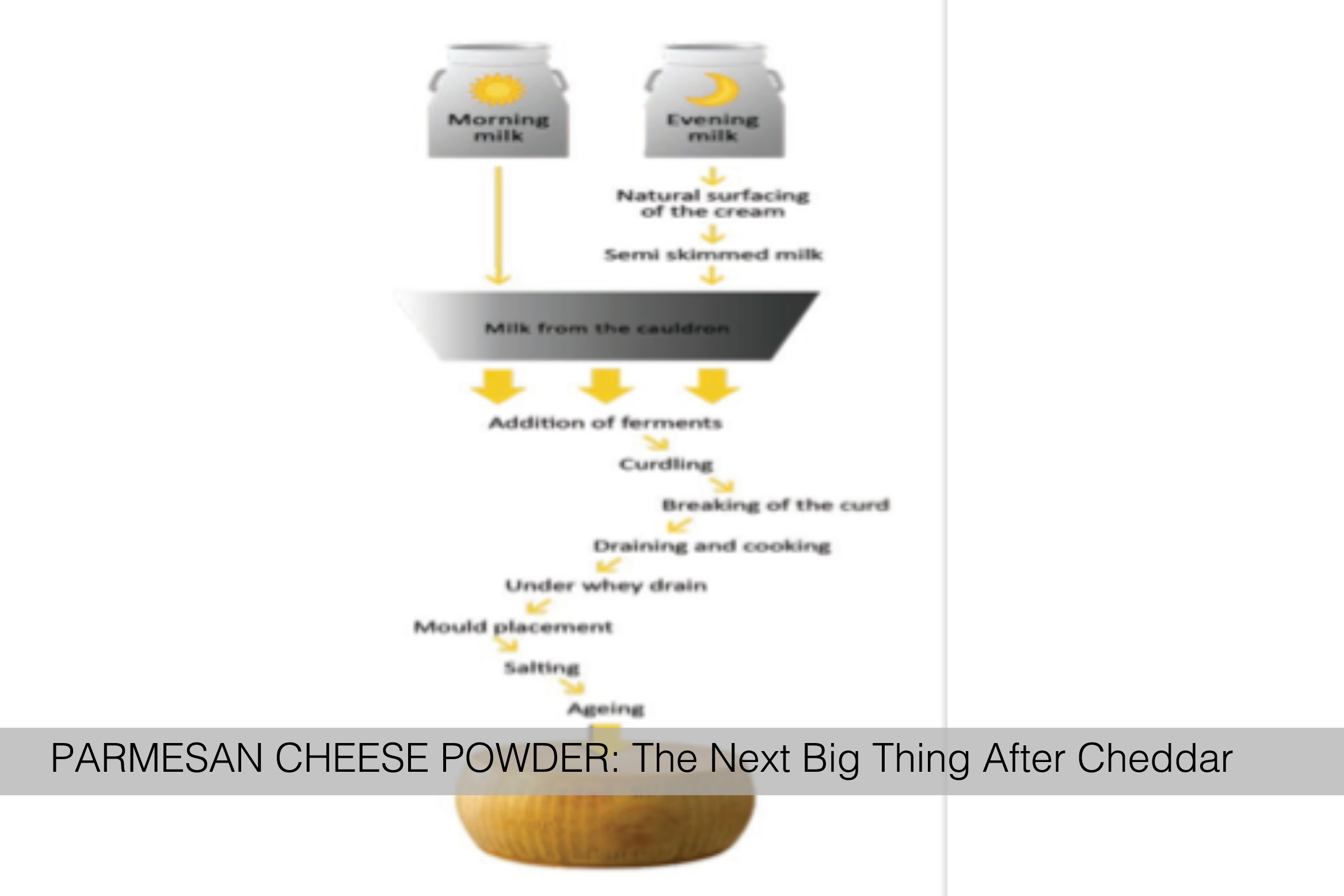 PARMESAN CHEESE POWDER: The Next Big Thing After Cheddar